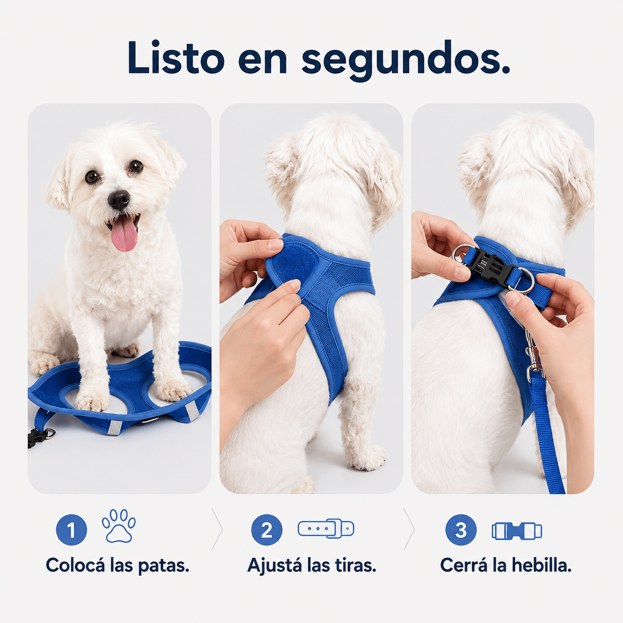 👌 Así De Simple Se Usa