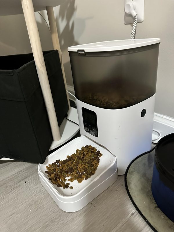 Imagen #1 de Bruno Amaral