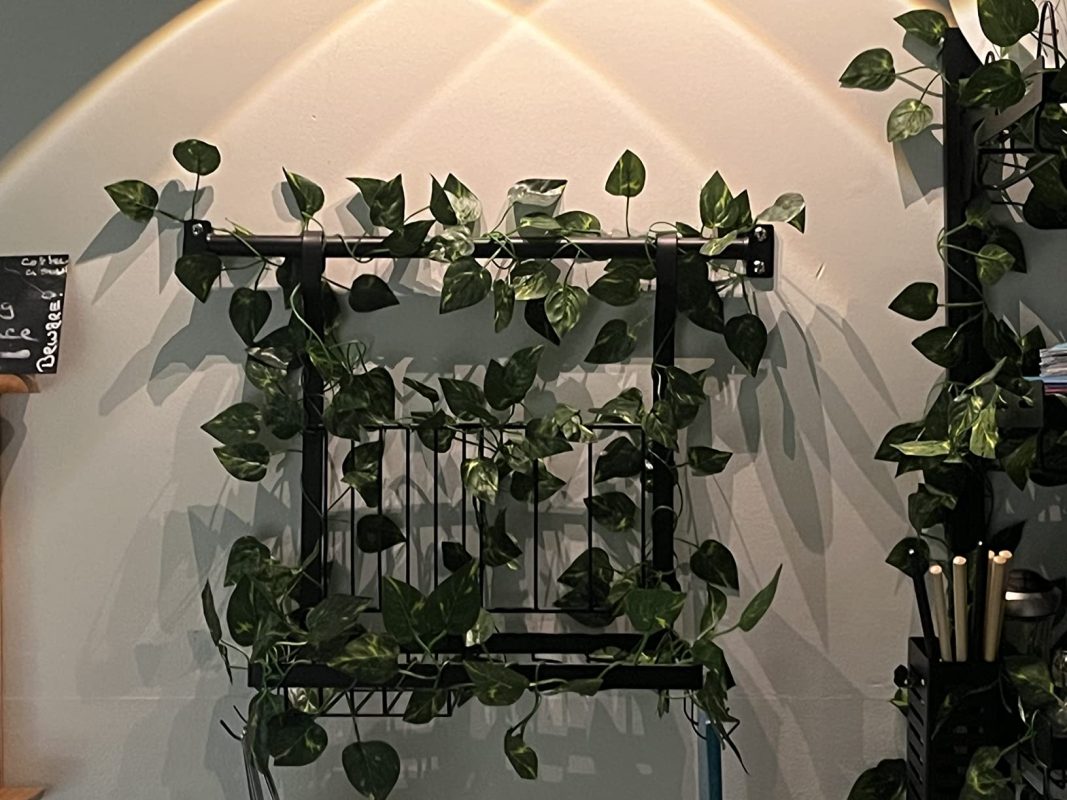 Imagen #1 de Jorge De Armas