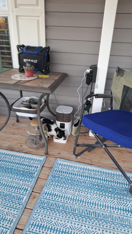 Imagen #1 de Alejandro Medina