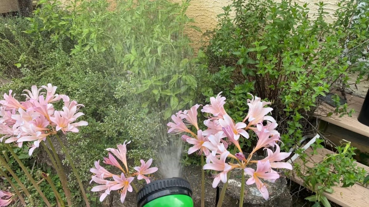 Imagen #1 de Ximena Sanabria