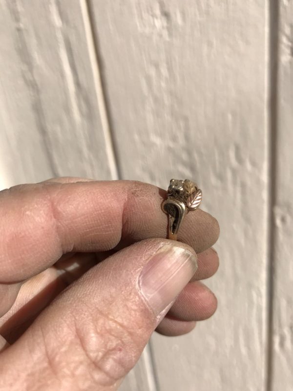 Imagen #1 de Nelson Sarlabous