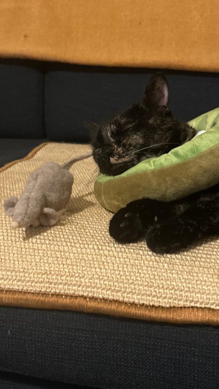 Imagen #1 de Federico Martinez