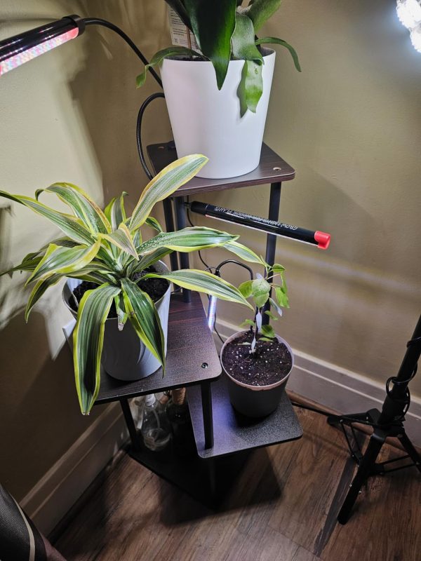 Imagen #1 de Adela Aguirre