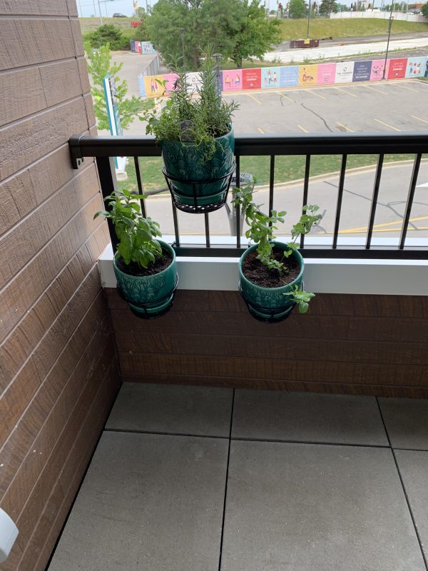 Imagen #1 de Rosario Godoy