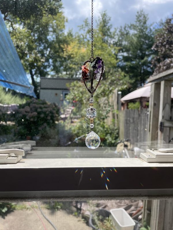 Imagen #1 de Manuel Ocampo