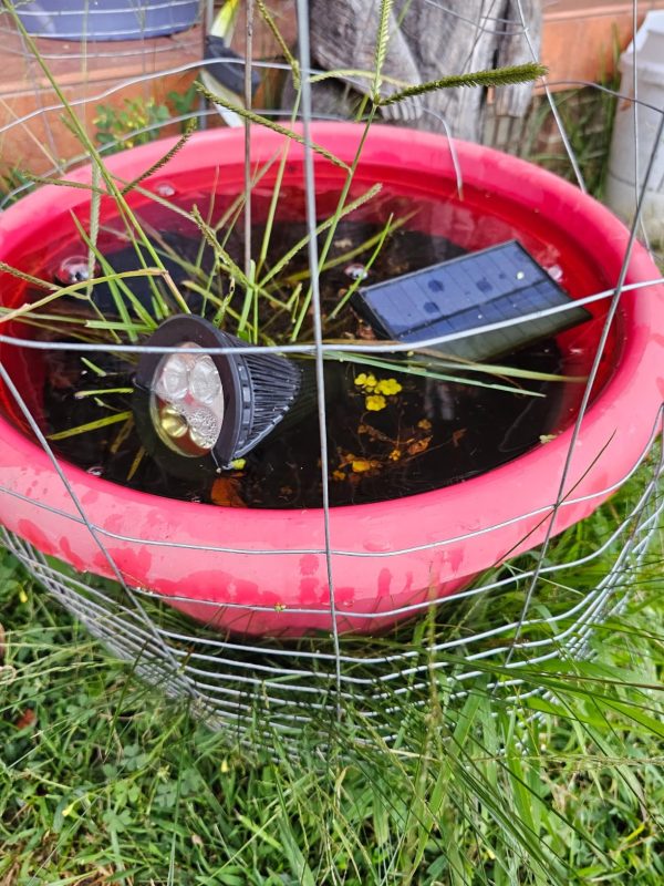 Imagen #1 de Elena Cabrera