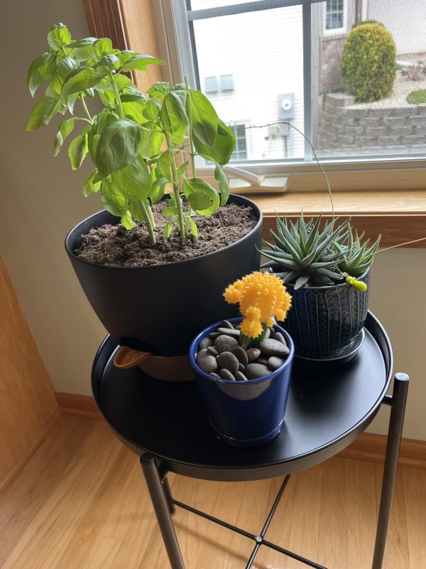 Imagen #1 de Damian Viera