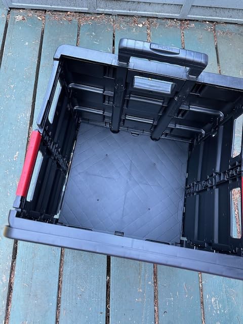 Imagen #1 de Ailen Acuna