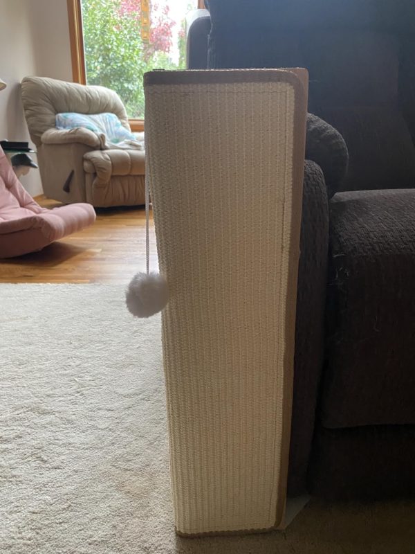 Imagen #1 de Facundo Gonzalez