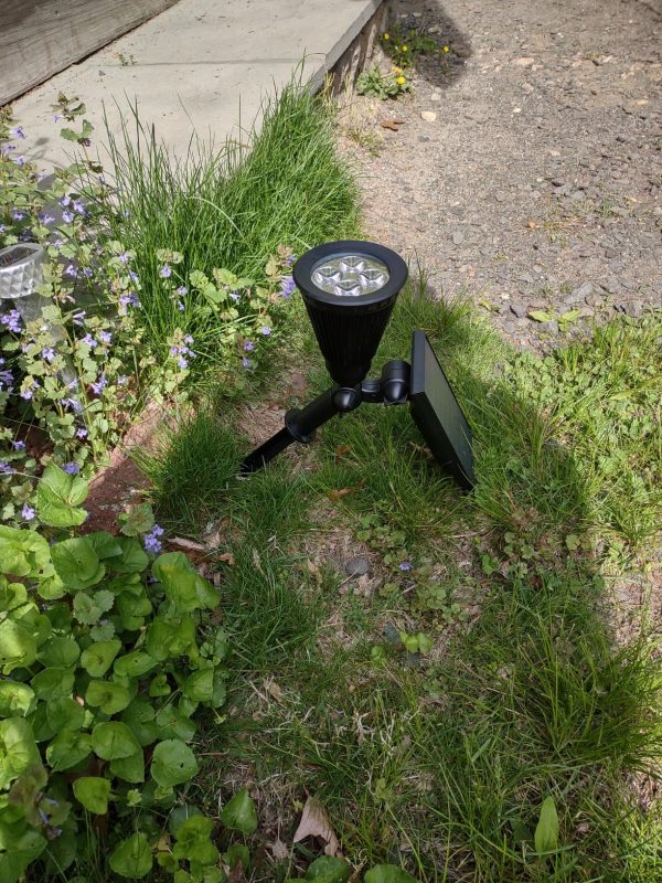 Imagen #1 de Alicia Ruiz