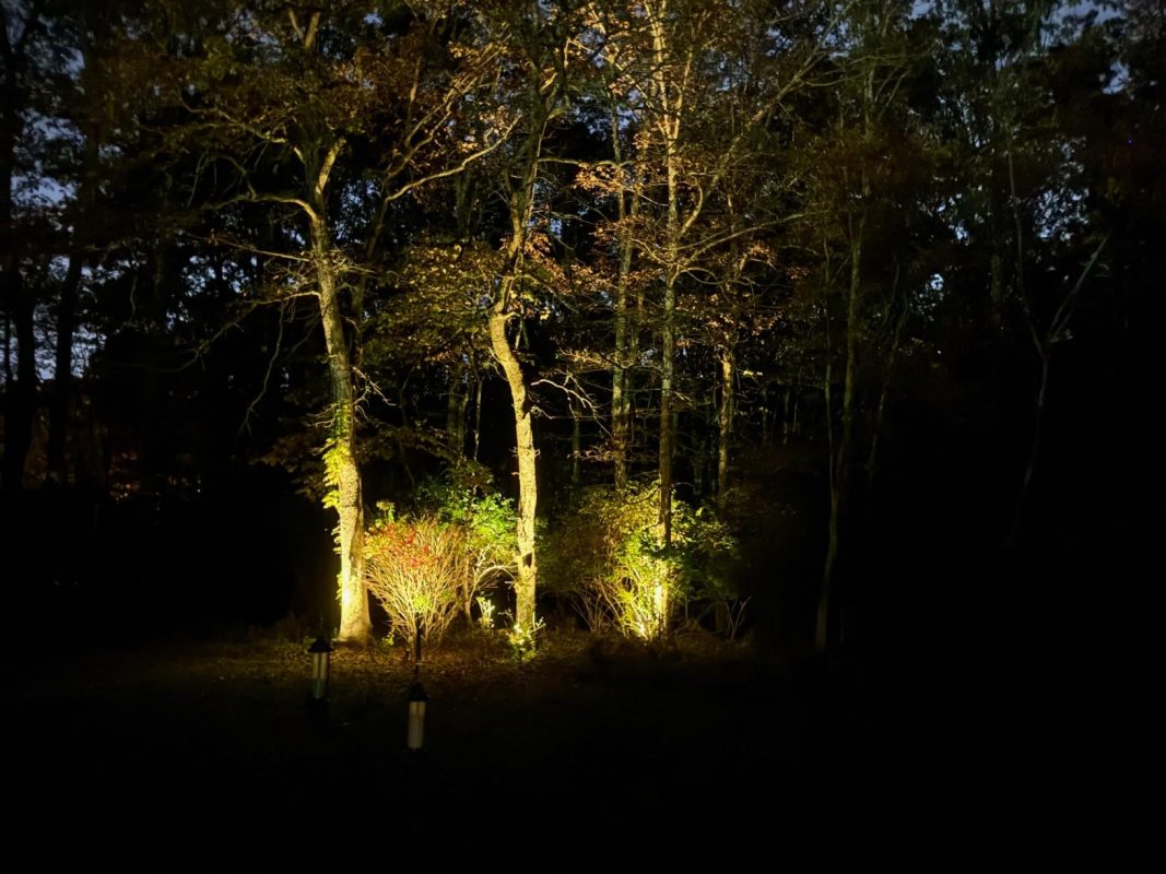 Imagen #1 de Norma Díaz