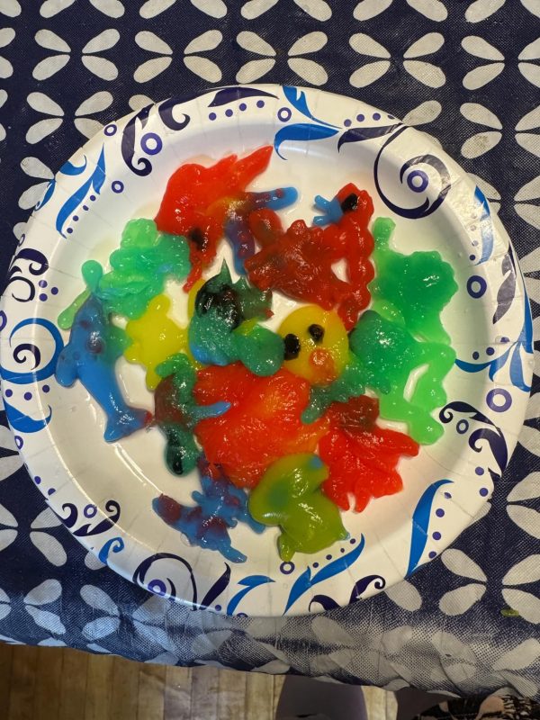 Imagen #1 de Alejandro Navarro