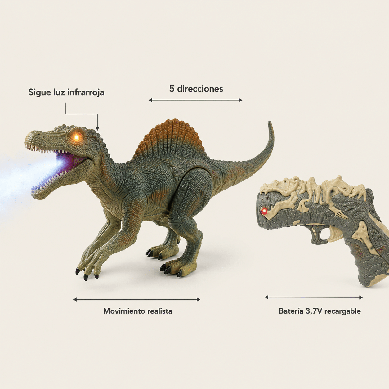 Características y medidas