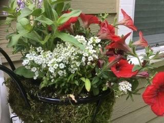 Imagen #1 de Elsa Etcheverry