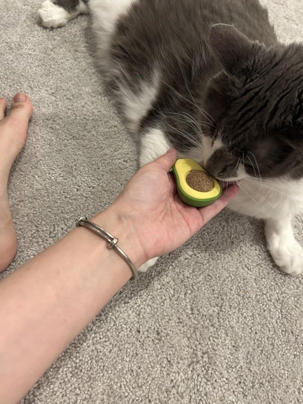 Imagen #1 de Santiago Lujan