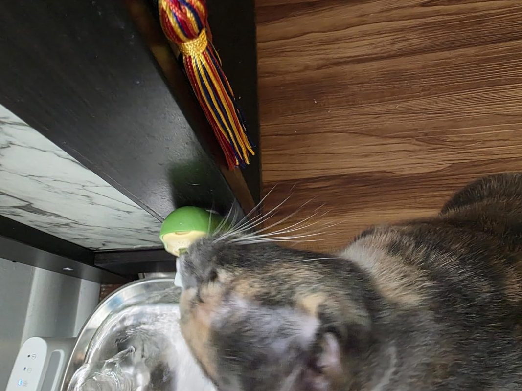 Imagen #1 de Sebastian Mendieta