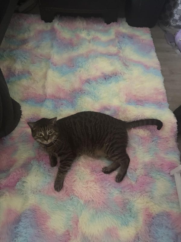 Imagen #1 de Santiago Lujan