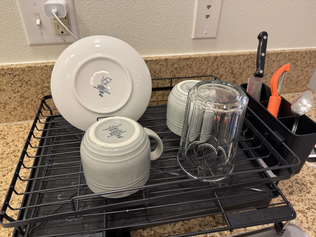 Imagen #1 de Alejandro Navarro