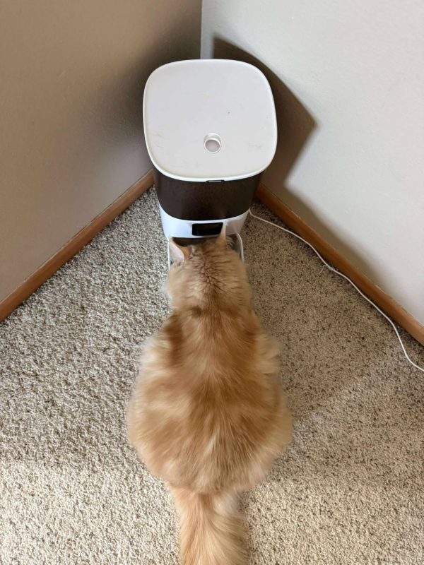 Imagen #1 de Andres Acuna