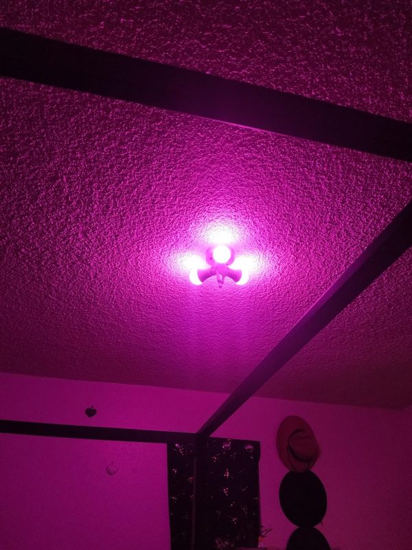 Imagen #1 de Cristian Gimenez