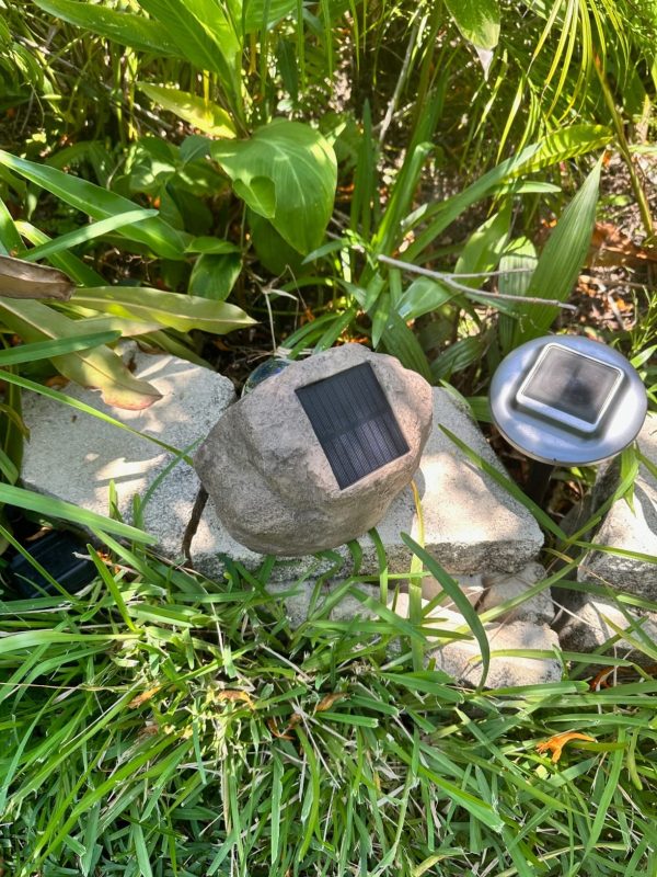 Imagen #1 de Eduardo Placeres