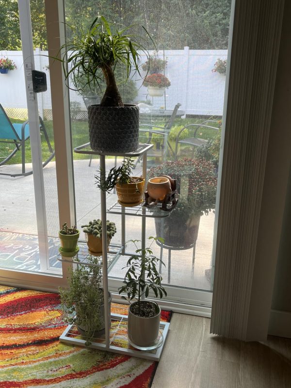 Imagen #1 de Rodrigo De los Santos