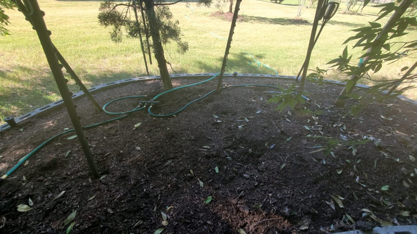 Imagen #1 de Diego Dos Santos