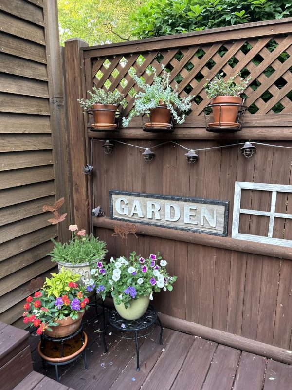 Imagen #1 de Gladys Cuello