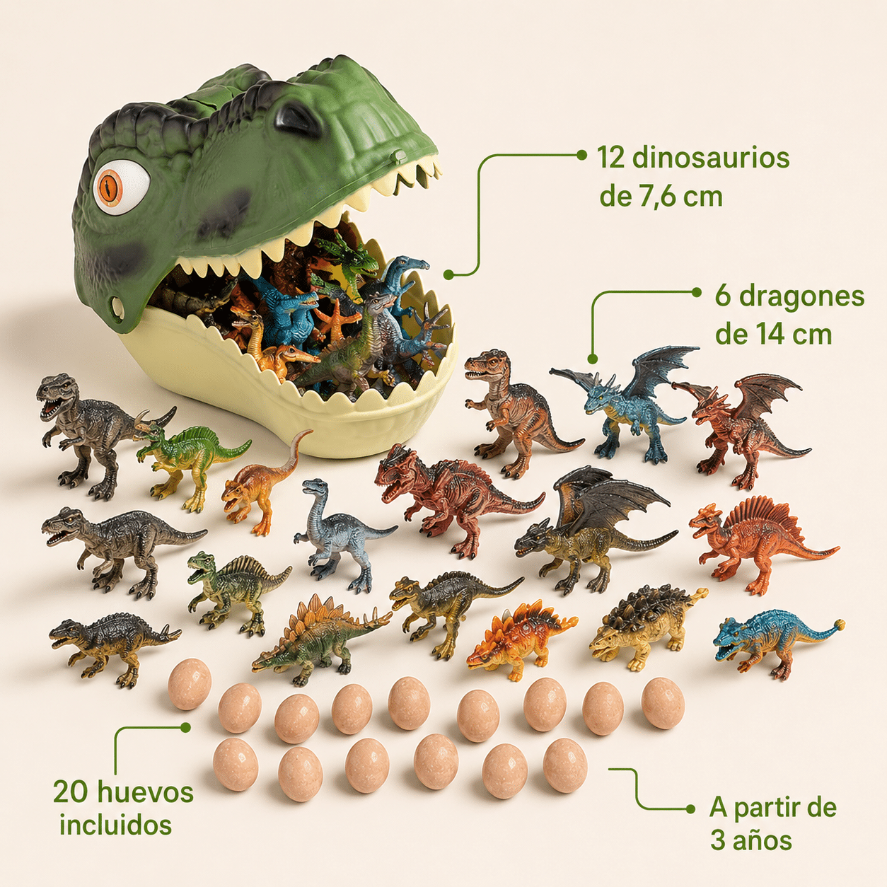 Características y medidas