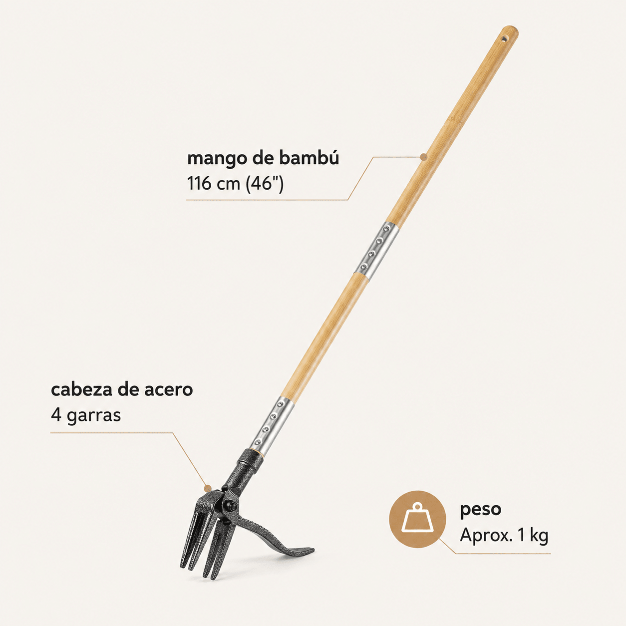 Características y medidas